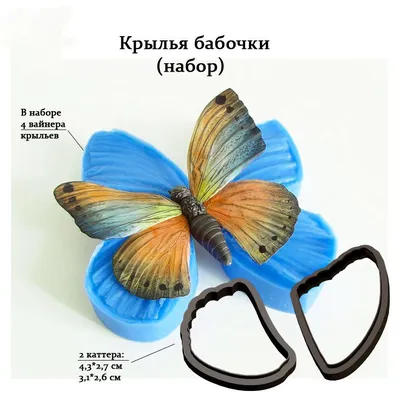 Фотография с бабочкой - крылья
