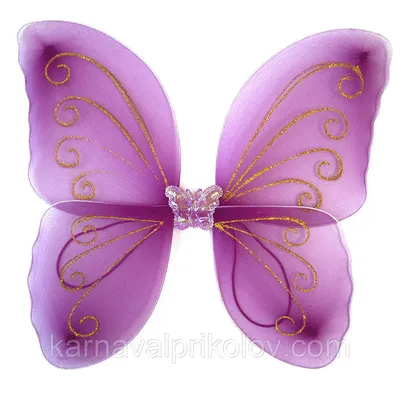 Фотка бабочки с крыльями в формате WebP