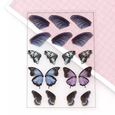Крылья бабочки - оригинальное изображение