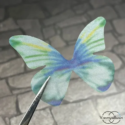 Картинка крыльев бабочки для скачивания в формате WebP