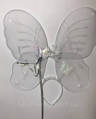 Бабочьи крылья на изображении с большим размером