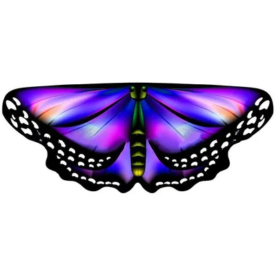 Фотка бабочки с крыльями в формате JPG