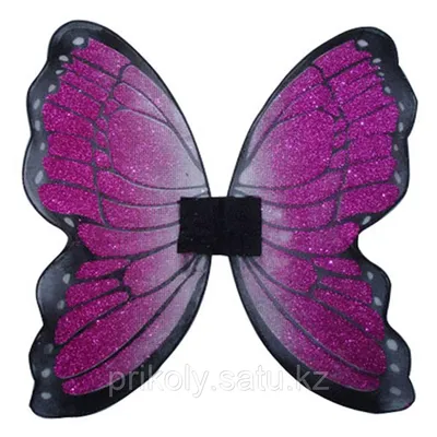 Фото с крыльями бабочки в оригинальном формате