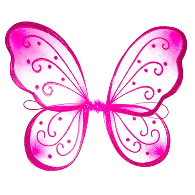 Крылья бабочки на фото в большом формате