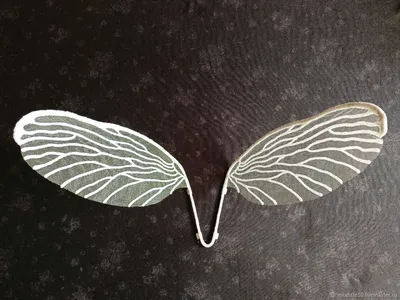 Фотография с бабочкой - крылья в оригинальном формате
