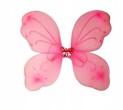 Фото бабочки - крылья для скачивания в формате WebP