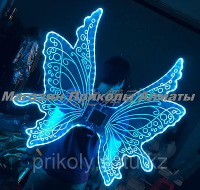 Фото с крыльями бабочки в формате для скачивания с самым высоким качеством