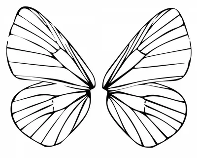 Бабочьи крылья на фото