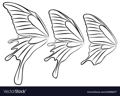 Бабочьи крылья на изображении с индивидуальными настройками