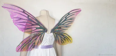 Крылья бабочки - фото с наилучшим разрешением