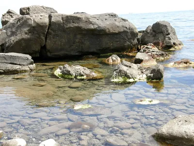 HD фотографии Крым малореченское пляж - высокое разрешение для деталей