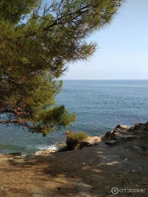 Крым малореченское пляж - красивые картинки для вашего вдохновения