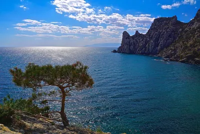 Фото в хорошем качестве Крымского побережья