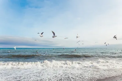 Фотографии пляжа с бирюзовой водой