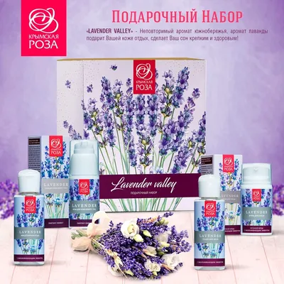 Фото розы Крымская роза для использования в календарях