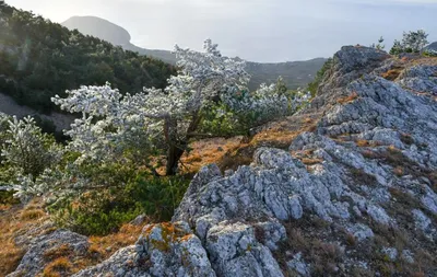 Фотографии крымских гор 2024 года: отражение текущего времени и состояния природы