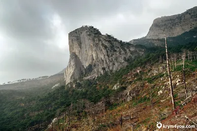 Скачать бесплатно изображение крымских гор: природа доступна каждому