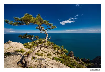 Морские зарисовки: бескрайние просторы в объективе фотографа