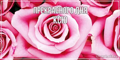 Ксю С Днем Рождения - скачать фото бесплатно