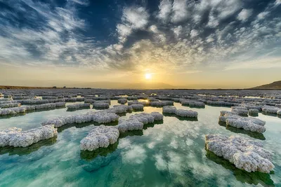 Кто живет в мертвом море фотографии