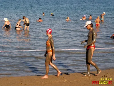 Уникальные снимки природы и животного мира Мертвого моря