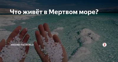 Фотографии Мертвого моря: выбирайте размер и формат загрузки по вашему выбору