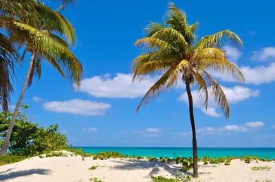 Куба пляжей фотографии