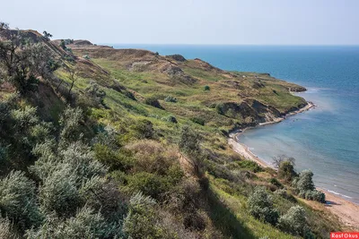 Фото пляжа с пальмами