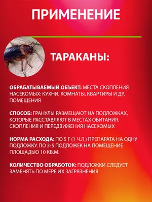 Фотографии тараканов в высоком разрешении