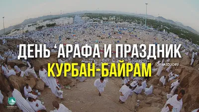 Улыбнитесь смешным: фото Курбан-байрама