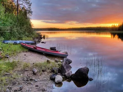 Удивительное озеро Медвежье: красота на фото