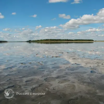 Уникальное озеро Медвежье: красота на фотографиях