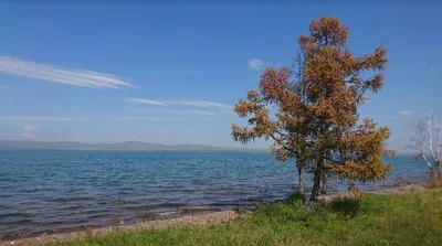 Фотографии курорта озеро Шира: бесплатно и в высоком разрешении 