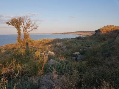 Раскройте свою любовь к морю: фотографии с Курортного Азовского побережья