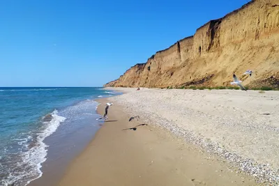 4K картинки пляжей в Курортном, Одесская область: скачать бесплатно