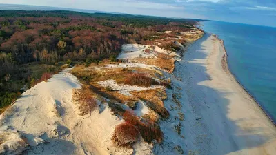 Куршская коса зимой: Великолепие морозного пейзажа