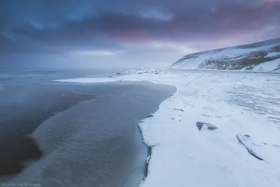 Зимние чудеса на Куршской косе: Фотографии удивительной природы