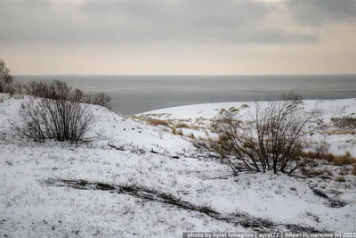 Зимние мгновения природы: Фото Куршской косы для скачивания