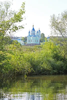 Исследуйте красоту Курской коренной пустыни через фотографии