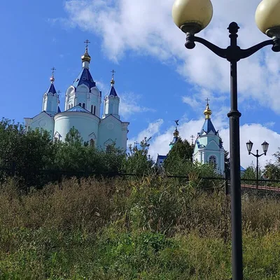 Фотографии пустыни Курская коренная пустынь: путешествие в мир безграничных просторов