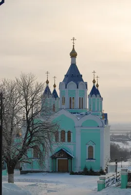 Красивые фотографии пустыни Курская коренная