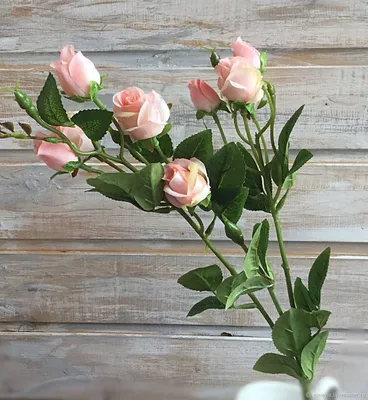 Кустистая роза в формате jpg: идеальное сочетание качества и размера 