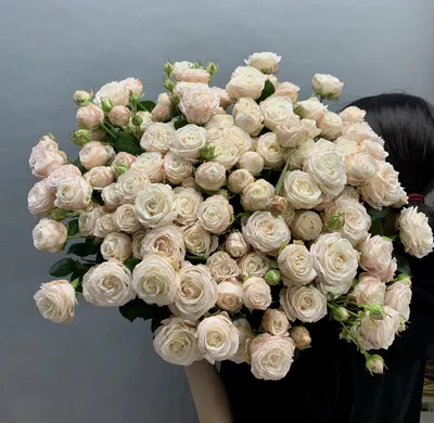 Фотография кустовой пионовидной розы в webp