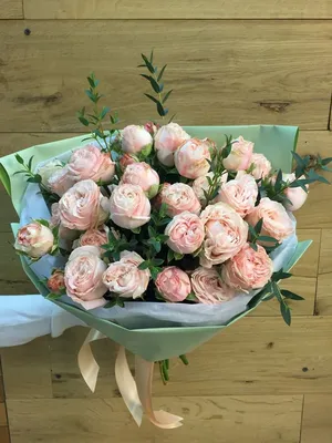 Фотка кустовой пионовидной розы в формате webp