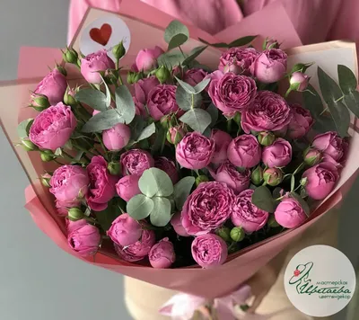 Изображение кустовой пионовидной розы в webp формате