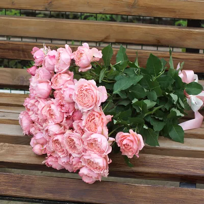 Фото кустовой пионовидной розы в jpg формате для скачивания