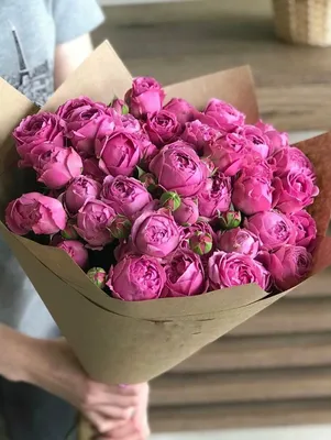Фотка кустовой пионовидной розы в webp формате