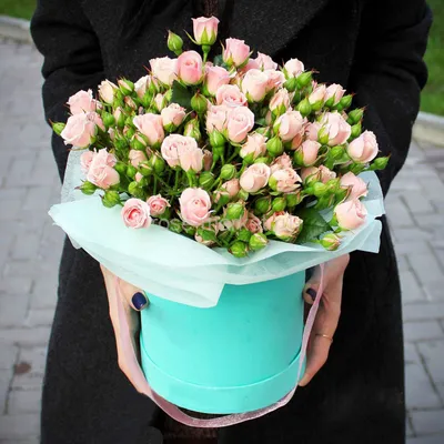 Фотографии кустовых роз в коробке: подарите себе красоту и радость