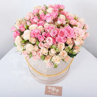 Картинки кустовых роз в коробке: создайте романтическую атмосферу