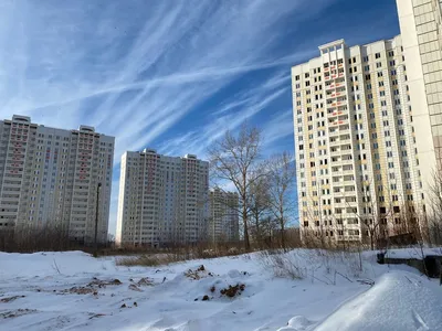 Фото Кузнечики подольск - качественные изображения